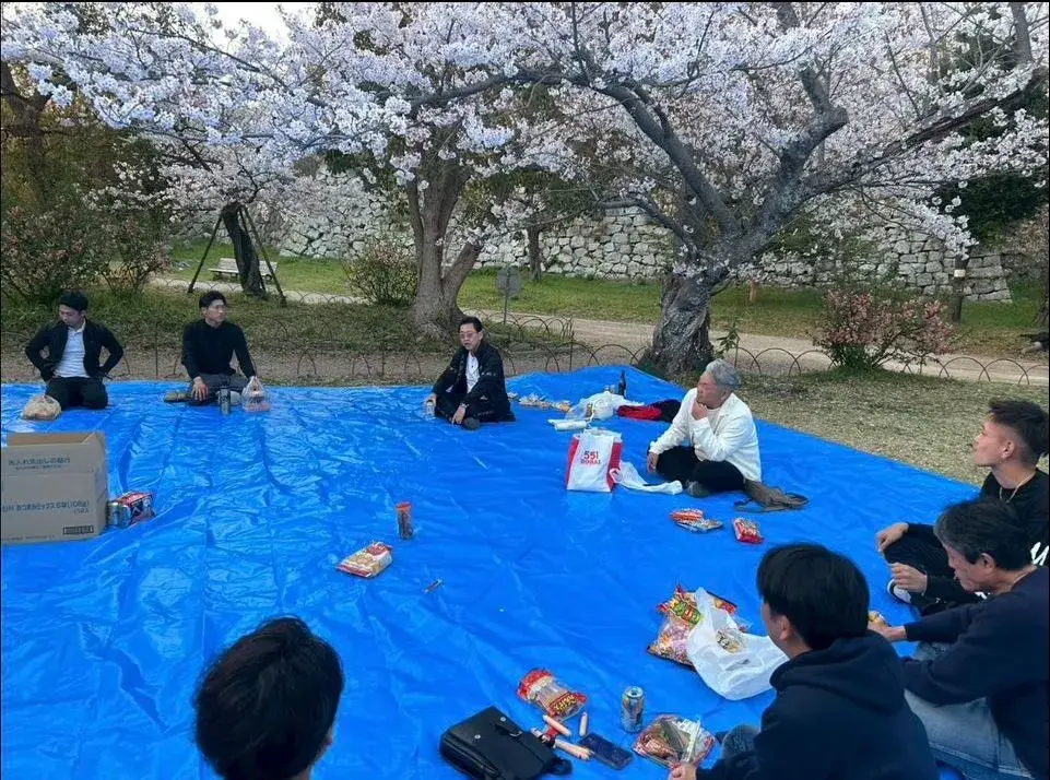 2025お花見写真