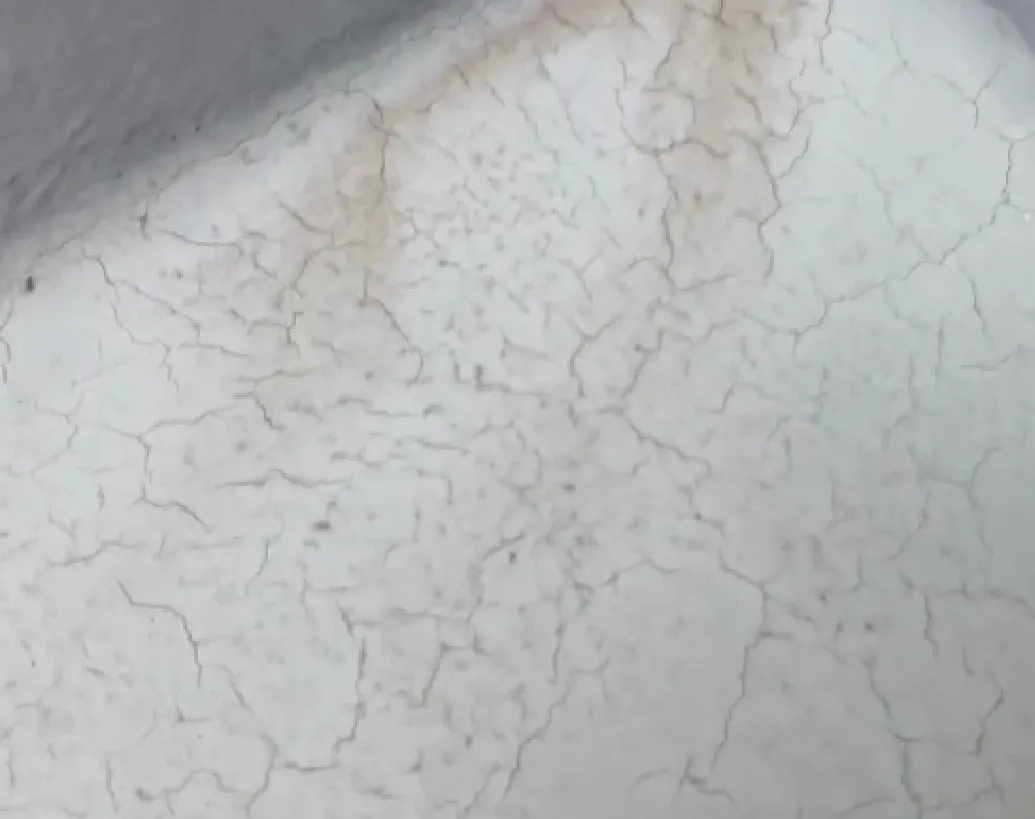 神戸市垂水区小束山手Y様邸外壁調査