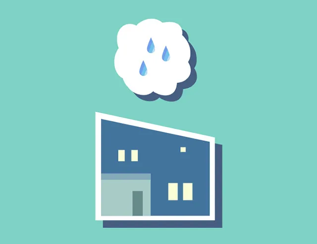 雨漏りシロアリ画像