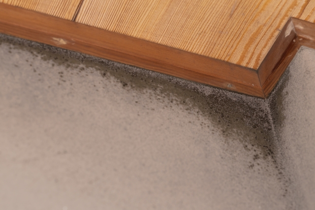 外壁塗装色あせ画像