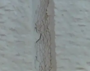 外壁塗装色あせ画像