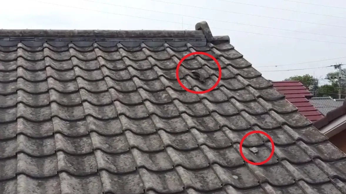 神戸市須磨区南落合K様邸屋根調査