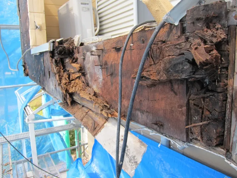 セミナー資料2026/02/15