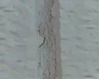 外壁メンテナンス画像