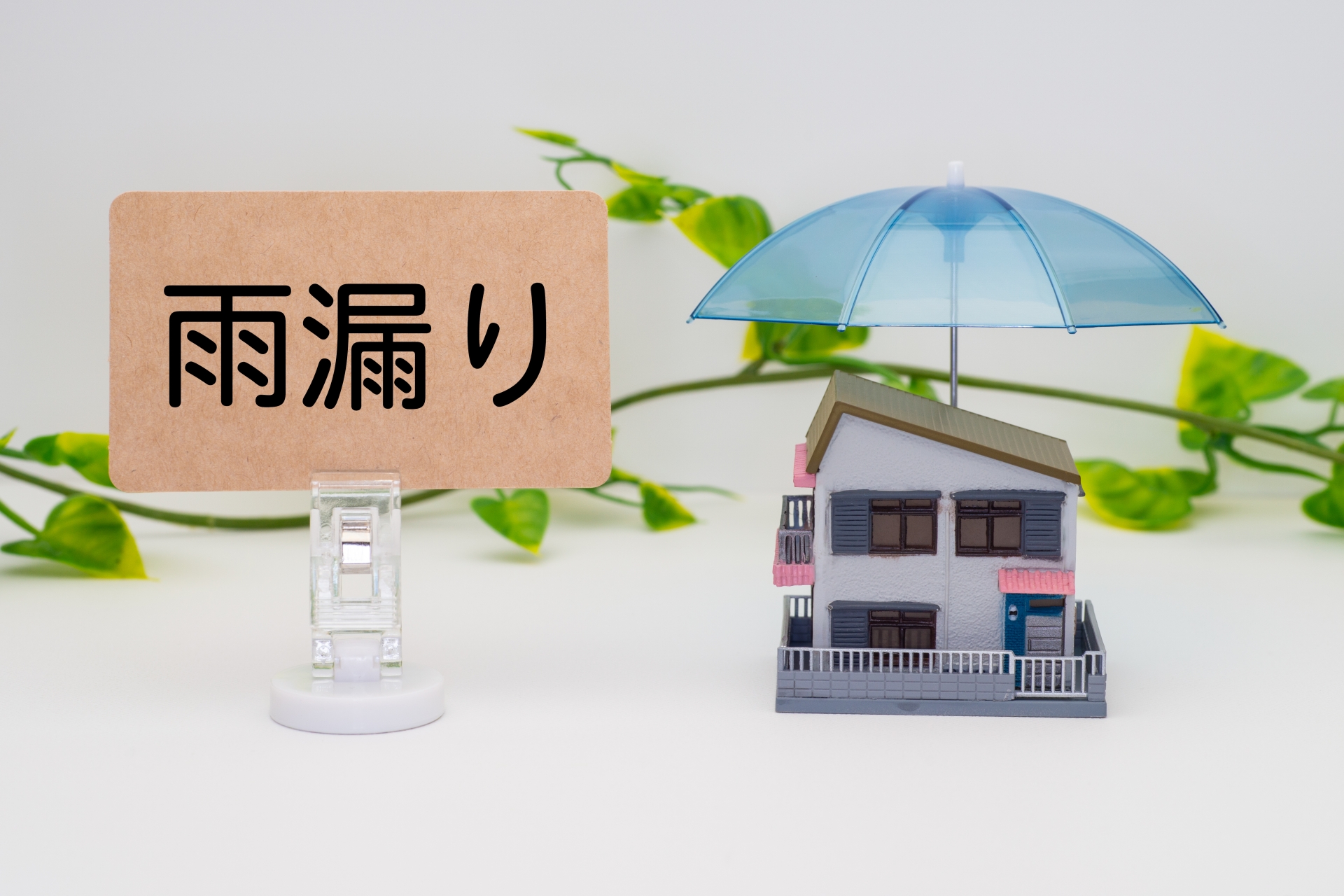 雨漏り修理会社を選ぶ「5つのポイント」