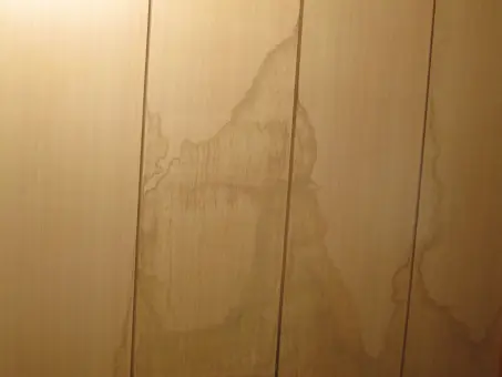 雨漏り